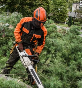 Mitarbeiter mit Motorsäge von tree Guard