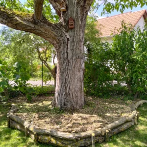 Natur Habitate Referenz Tree Guard Baumpflege